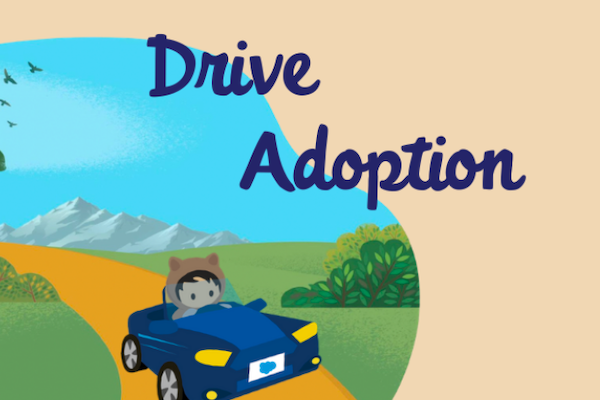 Adoption Salesforce